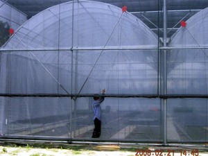 簡易溫室、養殖溫室 